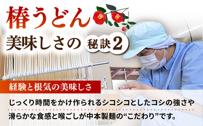【全6回定期便】【一番コシの強い！】椿 うどん 300g×10袋 五島うどん 保存食 【中本製麺】 [RAO017]