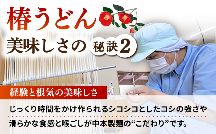 【全6回定期便】椿 うどん 300g×15袋 五島うどん 保存食 業務用 【中本製麺】 [RAO020]