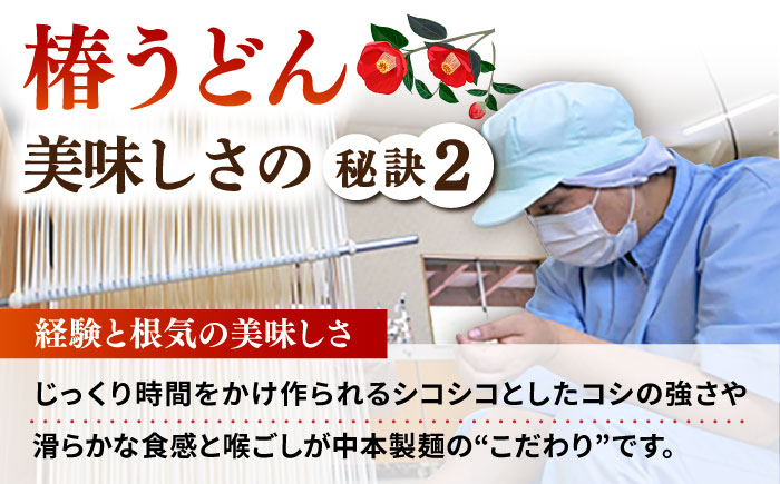 【全6回定期便】椿 うどん 300g×20袋 五島うどん 保存食 業務用 【中本製麺】 [RAO023]