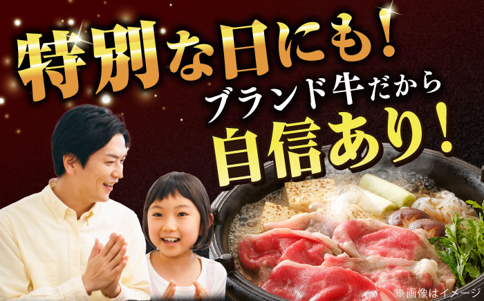 【大容量】【希少で上品なお肉をご家庭で！】五島牛 バラ 小間切れ 3パック（1.2kg）切り落とし 肉 牛肉 【ごとう農業協同組合】 [RAT004]