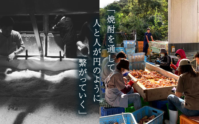 【お祝い・ギフトにぴったり！】紅白（紅芋・明治之芋）2本　セット　各720ml×1本　酒　お酒　焼酎　芋焼酎　いも　麹　五島灘　【五島灘酒造】 [RAW046]