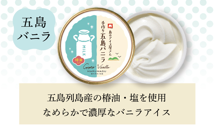 【全12回定期便】【五島列島のアイス屋さん】手づくり アイス 3種 セット 計12個 お菓子 アイス 【マルマス】 [RAX019]