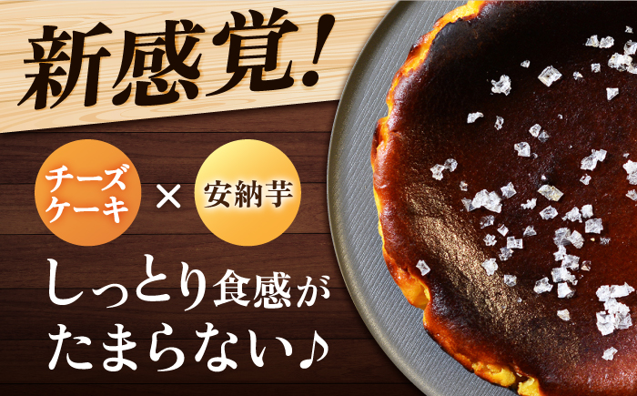 【ヒルナンデスで紹介されました！】五島列島 チーズケーキ 塩あんのう お菓子 ケーキ 【虎屋】 [RBA003]