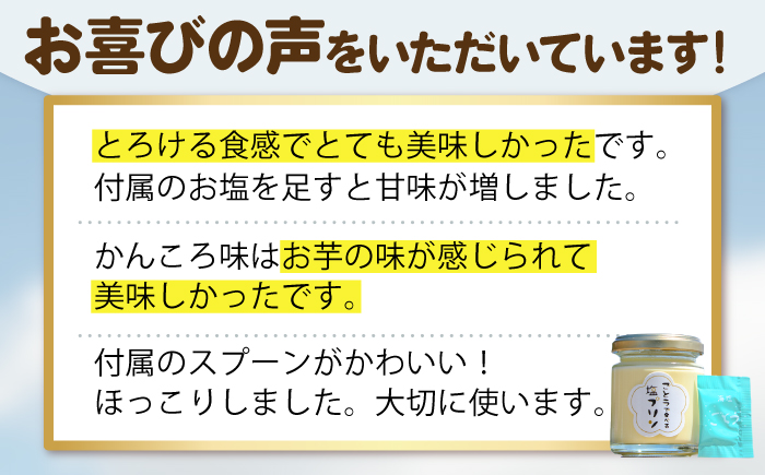 【全6回定期便】【ヒルナンデスで紹介されました！】ごとうで食べる 塩プリン 6個 椿スプーン付き お菓子 プリン 【虎屋】 [RBA049]