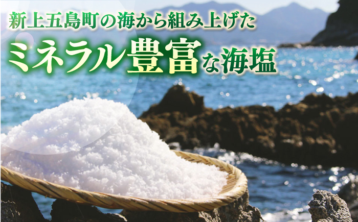 ごとうの塩 100g 【虎屋】 [RBA072]