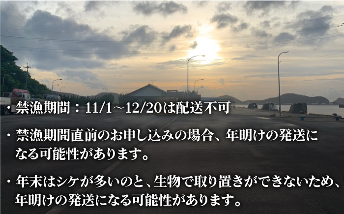 【その日に獲れたものをその日に発送！】 鮮度抜群 新上五島町産 活サザエ 殻付き2kg 魚介類 鮮魚 【ひまわり】 [RBK001]