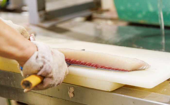 【血抜き、内臓処理済み！】ヒラス （ヒラマサ） 1本 4.0kg以上 養殖 刺身 しゃぶしゃぶ 魚介類 鮮魚 【ひまわり】 [RBK005]