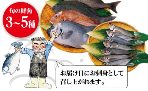 【朝どれ鮮魚をお届け！】 旬の鮮魚 詰め合わせ セット 3～5種類【松園水産】 [RBO011]