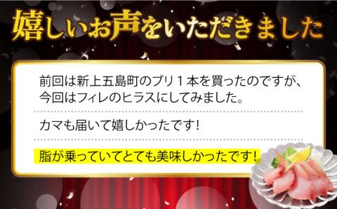 【コリコリ食感がたまらない！】新上五島町産 養殖 ヒラマサ （ヒラス） 片身フィーレ 魚介類 鮮魚 【カミティバリュー】 [RBP007]