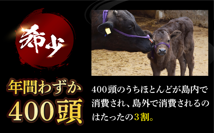 【幻の和牛！とろける肉汁がたまらない…！】 五島牛 特選 カルビ 400g 2人前 肉 牛肉 【カミティバリュー】 [RBP013]
