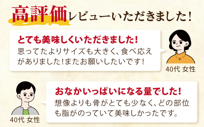 【2024年1月・2月・3月配送】【着日指定必須】  養殖 勝ち ブリ 片身 フィレ （1尾5kg程度の片身）【カミティバリュー】 [RBP087]