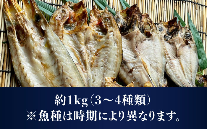 【五島列島の海の幸をお届け】干物セット 約1kg 3～4種 魚介類 【有福水産】 [RBV002]