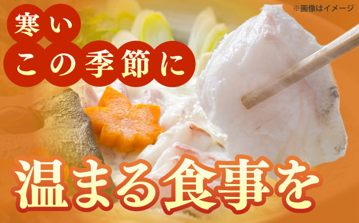 【五島列島直送】クエ鍋セット 500g【有福水産】 [RBV010]