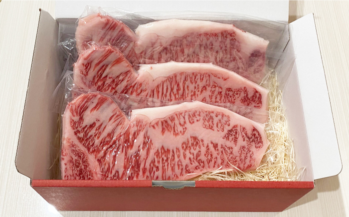 【全3回定期便】長崎和牛（A4ランク以上）サーロインステーキ600g（200g×3枚）【株式会社時愉亭】 [RCE003]