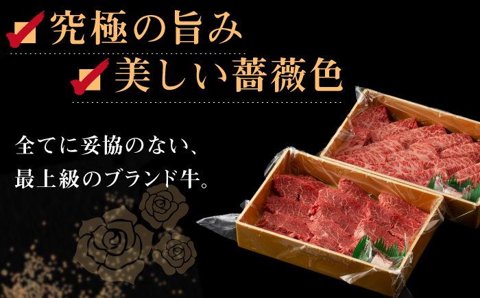 【全3回定期便】【日本一の和牛】長崎和牛 出島ばらいろ 特選焼肉 セット （ロース カルビ カタロース モモ のいずれか2種類）約300g×2 【合同会社　肉のマルシン】 [RCI046]