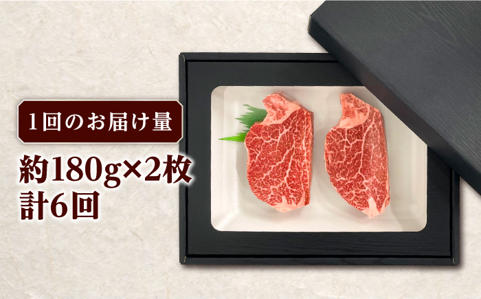 【全6回定期便】長崎和牛 ヒレ ステーキ 約180g×2枚 肉 牛肉 【肉の牛長】 [RCJ008]