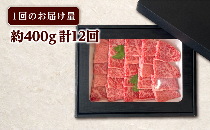 【全12回定期便】長崎和牛 焼肉用 ロース 約400g 牛肉 小分け 【肉の牛長】 [RCJ018]
