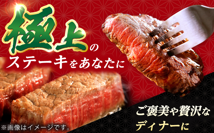 【全6回定期便】 長崎和牛 サーロイン ステーキ 250g×2 【KRAZY MEAT】 A5 A4 冷凍 和牛 肉 牛肉 BBQ [RCQ012]