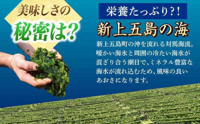五島列島産あおさ　10ｇ×３袋 [RCS001]