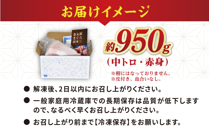 【激流育ち！】金太郎 マグロ 冷凍 ブロック 中トロ 赤身 約950g まぐろ 鮮魚 魚介類 【徳丸】 [RAC027]