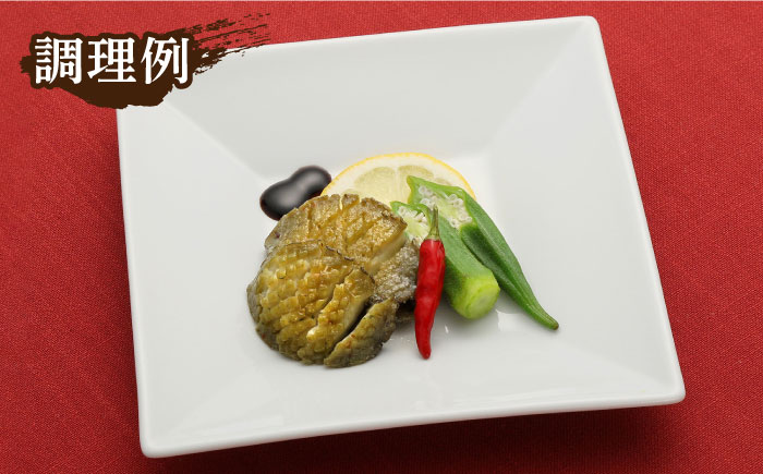 【小ぶりで料理に使いやすい！】 上五島産 養殖 ひとくち アワビ 厳選 300g 鮮魚 魚介類 【豊建設株式会社】 [RAE005]