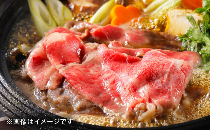 【全12回定期便】【希少で上品なお肉をご家庭で！】五島牛 薄切りセット ロース モモ 700g 4～5人前【ごとう農業協同組合】 [RAT011]
