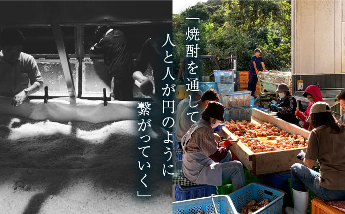 【上五島産の芋で作る本格芋焼酎】五島灘 紅芋 1800ml×1本 お酒 焼酎 【五島灘酒造】 [RAW010]