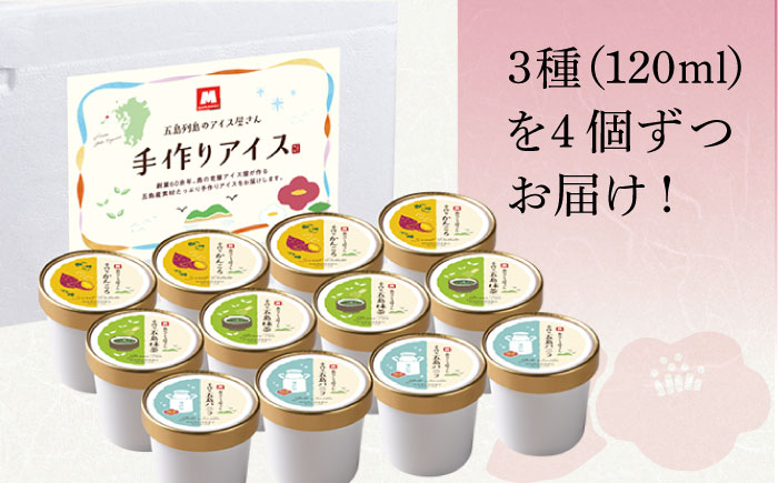 【12/18入金分まで年内発送】【一年中美味しい！こだわりがつまった島のアイス♪】五島列島の素材を使用 手づくり アイス 3種 セット 計12個 お菓子 アイス /【マルマス】 [RAX001]