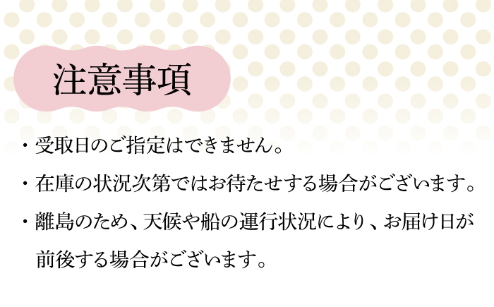 【全12回定期便】【五島列島のアイス屋さん】手づくり アイス 3種 セット 計12個 お菓子 アイス 【マルマス】 [RAX019]
