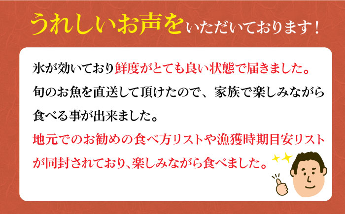 【下処理可】 五島列島産 旬の鮮魚 セット 3種類以上（3～4kg） 魚介類 鮮魚 【有川町漁業協同組合】 [RBH002]