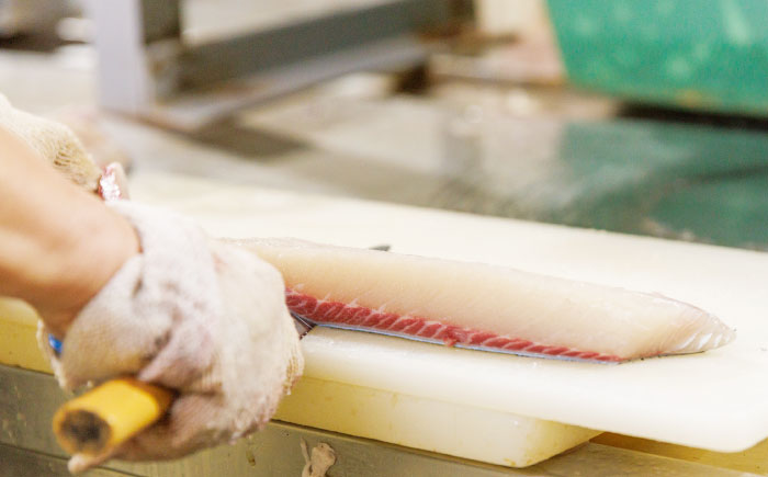 【鮮度抜群！しっかり歯ごたえが美味い！】 ヒラス （ヒラマサ） アラ付き 養殖 下処理済 真空パック 刺身 ブロック（1.6kg以上） 魚介類 鮮魚 【ひまわり】 [RBK004]