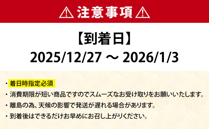 【期間限定】【12/27～1/3着】 ヒラス （ヒラマサ） 1本 4.0kg以上 養殖 刺身 しゃぶしゃぶ  【ひまわり】 [RBK008]