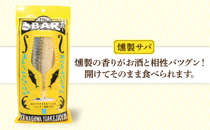 【多数の企業とコラボ実績あり】塩の楽しみ方が広がる塩コラボセット（塩、椿油、おつまみ燻製サバ、米粉かりんとう、塩プリン）【やがため】 [RBM006]