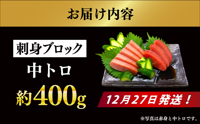 【12/27発送！】【長崎県養殖クロマグロ品評会最優秀賞！】 五島列島産 養殖 生 本マグロ 中トロ 計約400g マグロ まぐろ 鮪 刺身 ブロック 冷蔵 【上五島町漁業協同組合】 [RBN021]