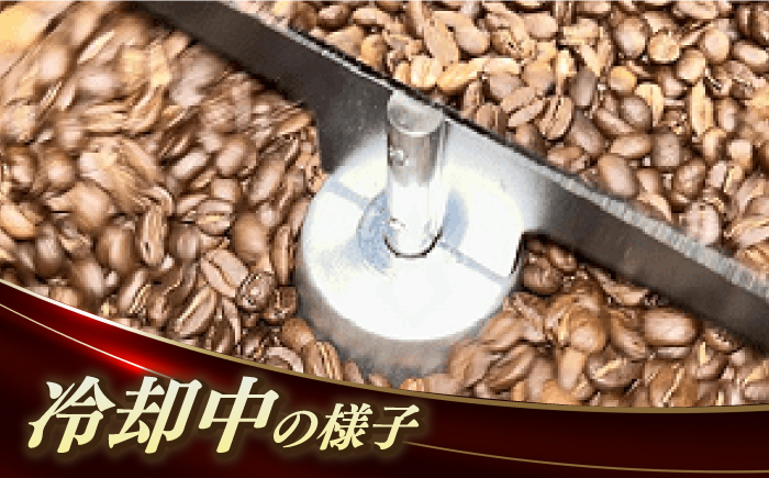 Fuuki　Coffee　Roaster GOTOぶれんど 3種類飲み比べせっと【冨喜】 [RBO023]