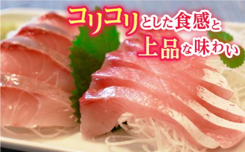 【コリコリ食感がたまらない！】新上五島町産 養殖 ヒラマサ （ヒラス） 片身フィーレ 魚介類 鮮魚 【カミティバリュー】 [RBP007]