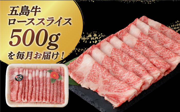 【全6回定期便】【幻の和牛！やわらかとろける♪】 五島牛 ローススライス 約500g 魚介類 鮮魚 まぐろ 【カミティバリュー】 [RBP036]