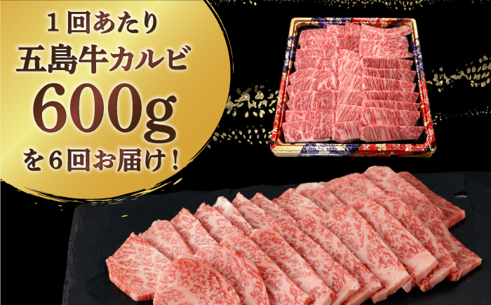【全6回定期便】【幻の和牛！とろける肉汁がたまらない…！】 五島牛 特選 カルビ 600g 肉 牛肉 【カミティバリュー】 [RBP042]