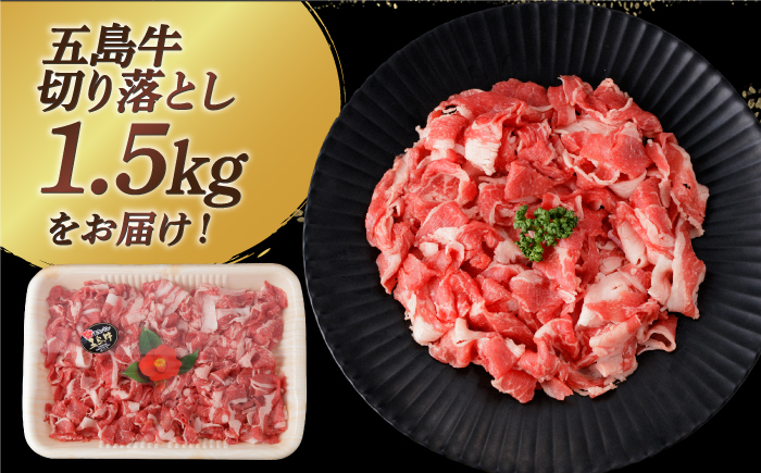 【幻の和牛を様々なお料理で】 五島牛 切り落とし 約1.5kg 10～11人前 肉 牛肉 【カミティバリュー】 [RBP075]