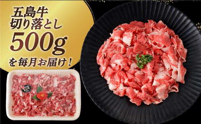【全3回定期便】【幻の和牛を様々なお料理で！】 五島牛 切り落とし 約500g 3～4人前 肉 牛肉 【カミティバリュー】 [RBP076]
