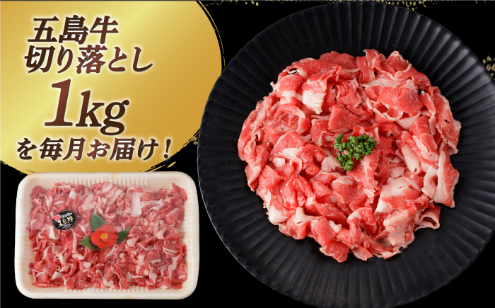 【全12回定期便】【幻の和牛を様々なお料理で！】 五島牛 切り落とし 約1kg 5～7人前 肉 牛肉 【カミティバリュー】 [RBP081]