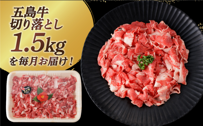 【全6回定期便】【幻の和牛を様々なお料理で】 五島牛 切り落とし 約1.5kg 10～11人前 肉 牛肉 【カミティバリュー】 [RBP083]