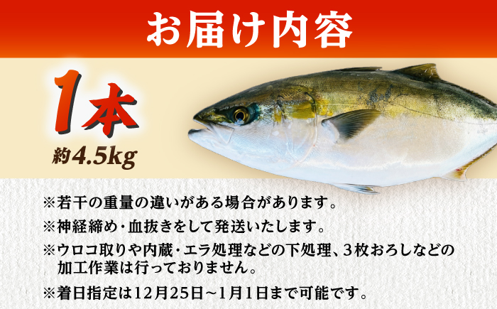 【五島列島直送】 養殖はまち 一本もの（約4.5kg）【有福水産】 [RBV008]