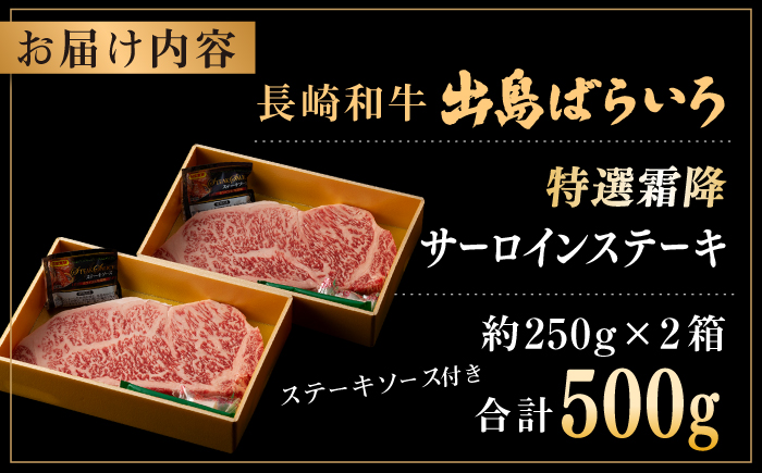 【日本一の和牛】長崎和牛 出島ばらいろ 特選霜降 サーロイン ステーキ たっぷり500g（250g×2枚） 【合同会社　肉のマルシン】 [RCI005]