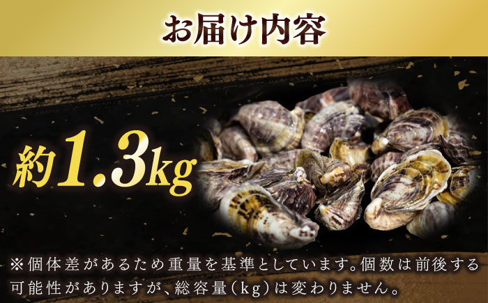 養殖カキ 五島小町　生食用 養殖 牡蠣 かき 殻付き 約1.3kg　【五島オイスター】 [RCN001]
