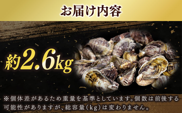 養殖カキ 五島小町　生食用 養殖 牡蠣　かき 殻付き 約2.6kg　【五島オイスター】 [RCN002]