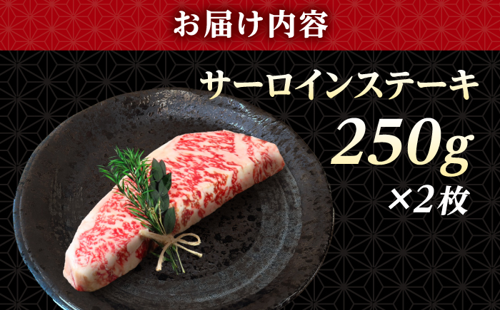 長崎和牛 サーロイン ステーキ 250g×2 【KRAZY MEAT】 A5 A4 冷凍 和牛 肉 牛肉 BBQ [RCQ003]