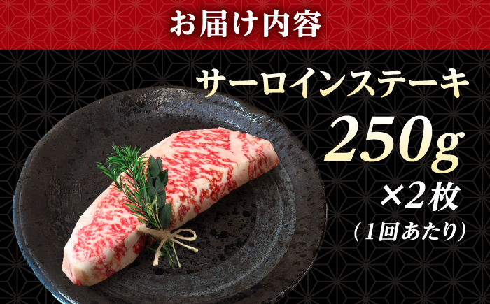 【全6回定期便】 長崎和牛 サーロイン ステーキ 250g×2 【KRAZY MEAT】 A5 A4 冷凍 和牛 肉 牛肉 BBQ [RCQ012]