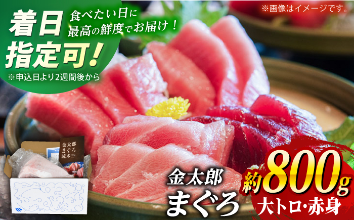 【濃厚で脂があま～い】金太郎 マグロ 腹側 冷凍 ブロック 大トロ 赤身 約800g まぐろ 鮮魚 魚介類 【徳丸】 [RAC008]