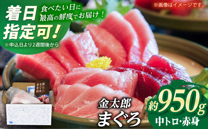 【激流育ち！】金太郎 マグロ 冷凍 ブロック 中トロ 赤身 約950g まぐろ 鮮魚 魚介類 【徳丸】 [RAC027]